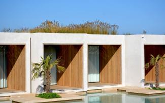 The tall grasses look like a protective head of hair in these suites with access to the pool. © egreen / ZinCo Suites with ornamental grasses on the roof
